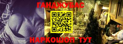 гашик Ярославль