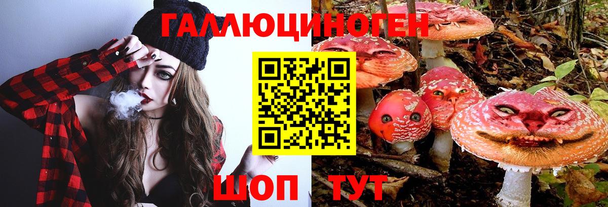 Галлюциногенные грибы Psilocybine cubensis Будённовск